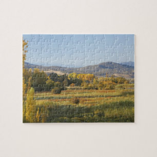 Autumn Trees, Khancoban, Snowy Mountains, New Jigsaw Puzzle