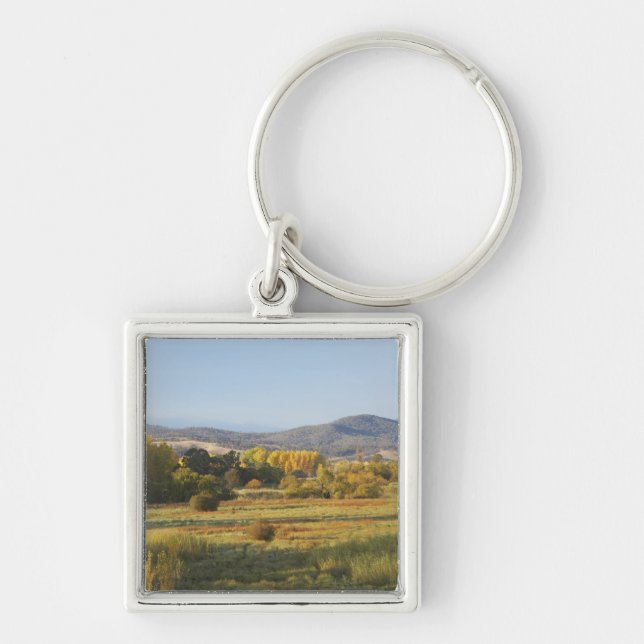 Autumn Trees, Khancoban, Snowy Mountains, New Key Ring (Front)