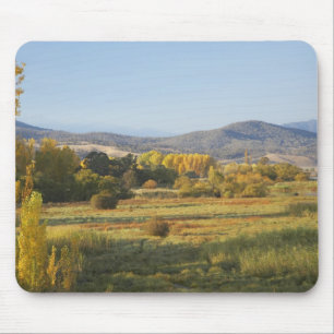 Autumn Trees, Khancoban, Snowy Mountains, New Mouse Mat