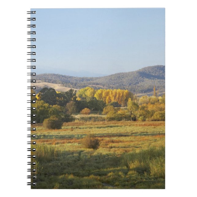 Autumn Trees, Khancoban, Snowy Mountains, New Notebook (Front)