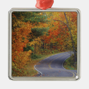 Autumn trees line roadway in Itasca State Park Metal Tree Decoration