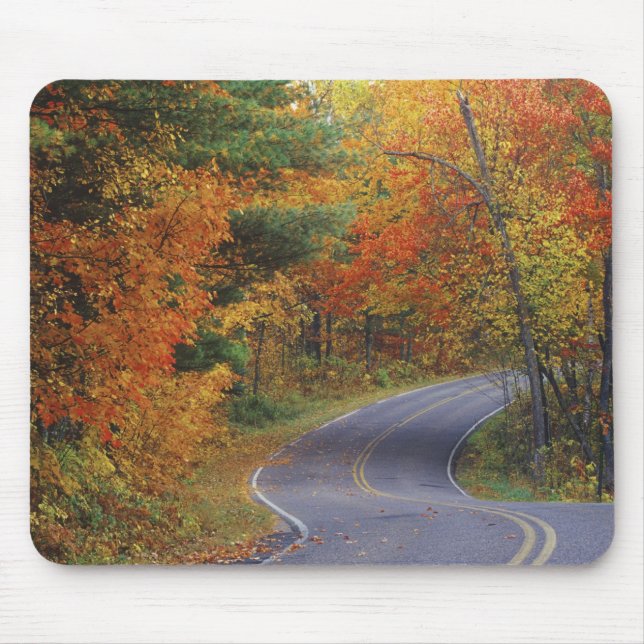 Autumn trees line roadway in Itasca State Park Mouse Mat (Front)