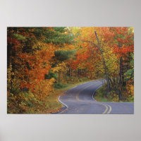Autumn trees line roadway in Itasca State Park