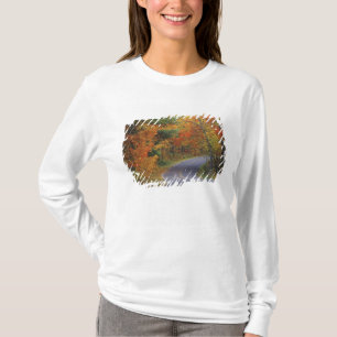 Autumn trees line roadway in Itasca State Park T-Shirt