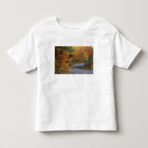 Autumn trees line roadway in Itasca State Park Toddler T-Shirt