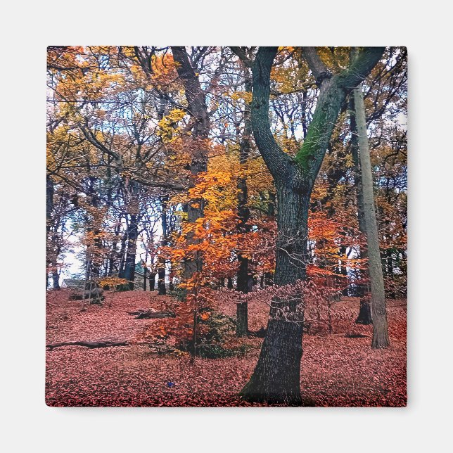 Autumn trees magnet (Front)