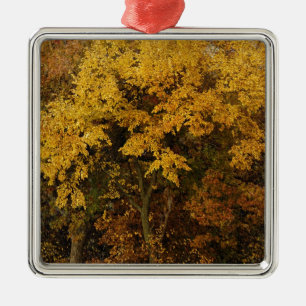 Autumn Trees Metal Tree Decoration
