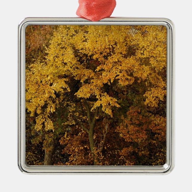 Autumn Trees Metal Tree Decoration (Front)