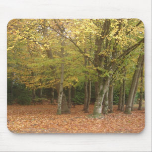 Autumn trees mouse mat