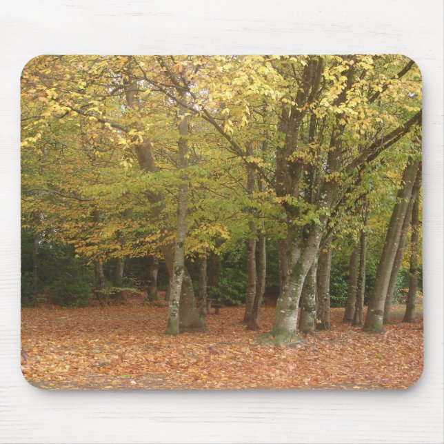 Autumn trees mouse mat (Front)
