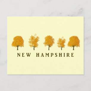 Autumn Trees - NH Postcard