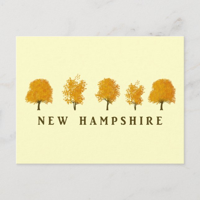 Autumn Trees - NH Postcard (Front)