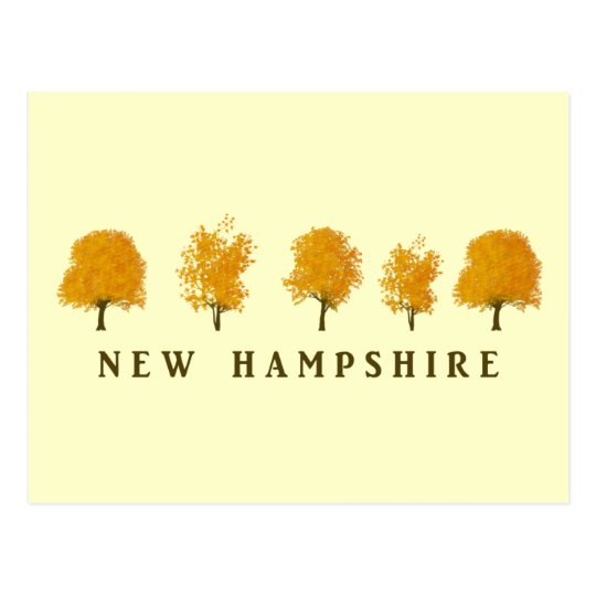 Autumn Trees - NH Postcard