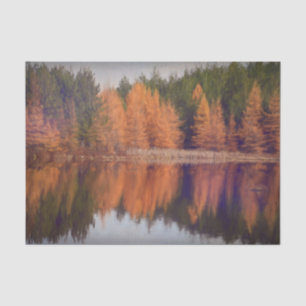Autumn Trees Orange Fall Themed Painted Scenery Tissue Paper