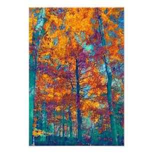 Autumn Trees Photo Print