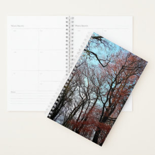 Autumn trees planner