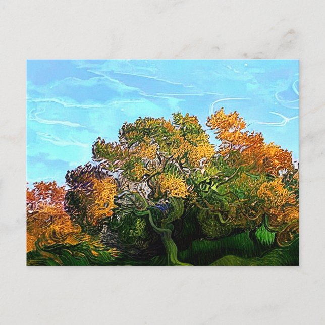 AUTUMN TREES POSTCARD (Front)
