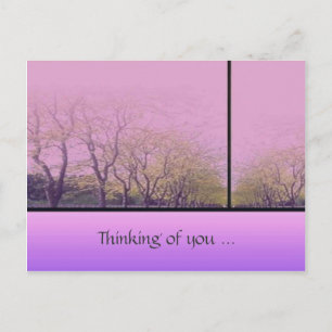 Autumn Trees Postcard