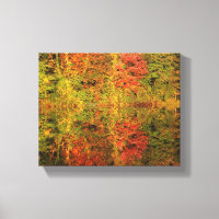 Autumn Trees Reflections