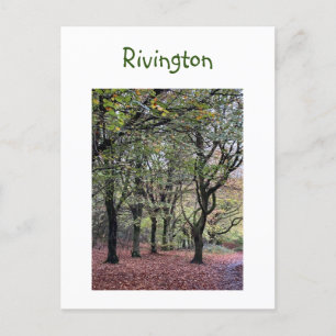 Autumn Trees Rivington  Postcard
