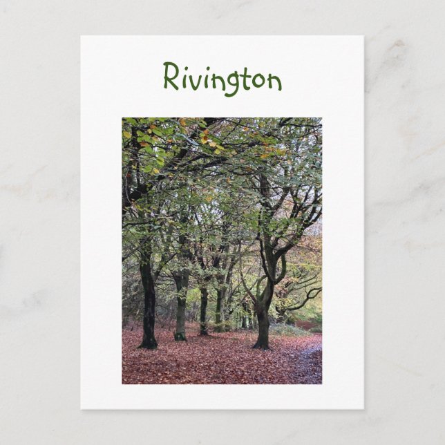 Autumn Trees Rivington  Postcard (Front)