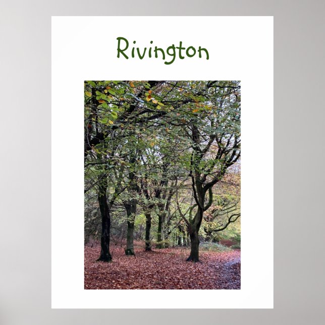 Autumn Trees Rivington   Poster (Front)