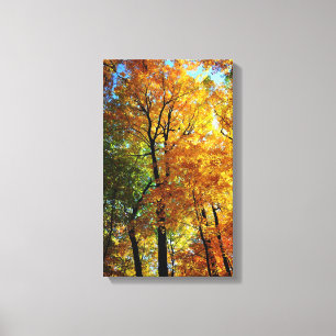 Autumn Trees Stretched Canvas Print