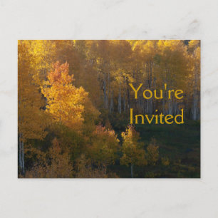Autumn Trees Thanksgiving Dinner Invitation Postcard