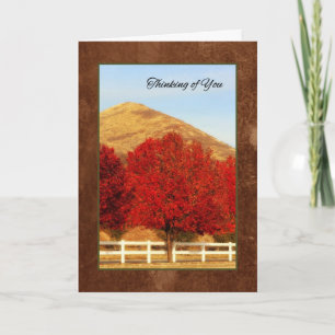 Autumn Trees Thinking of You Will Warm My Heart Card