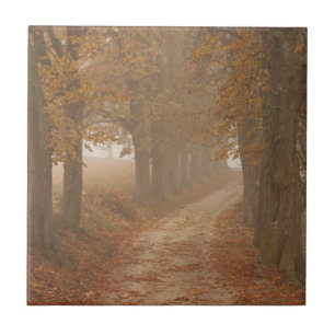 Autumn Trees Tile
