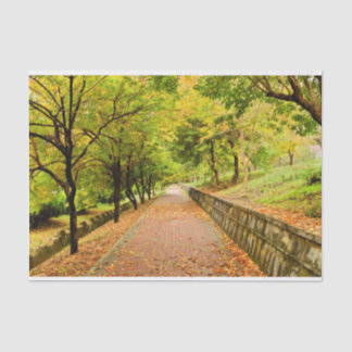 Autumn Trees Tissue Paper