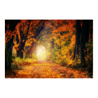 Autumn Tunnel Poster