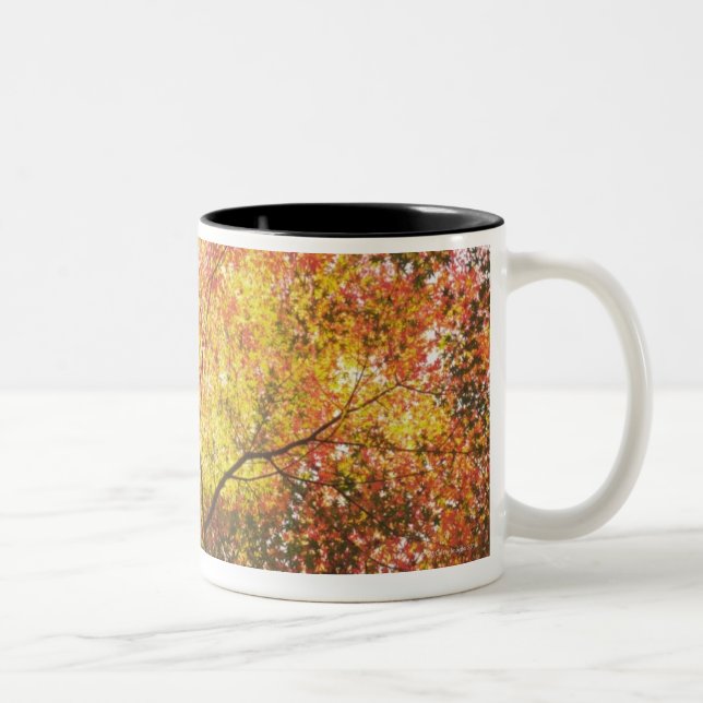 Autumn Two-Tone Coffee Mug (Right)