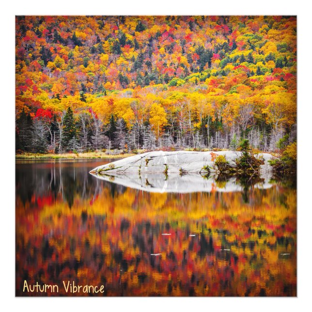 Autumn Vibrance Photo Print (Front)