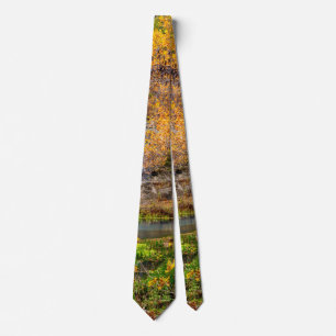 Autumn View Alley Spring Neck Tie