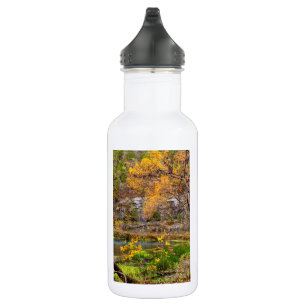 Autumn View Alley Spring Stainless Steel Water Bot 532 Ml Water Bottle