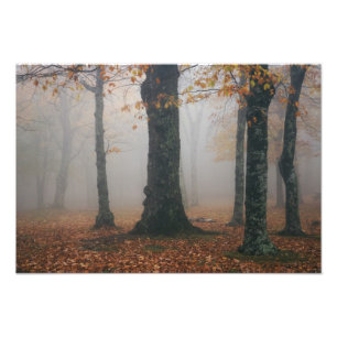 Autumn view of foggy forest, Grandfather 2 Photo Print