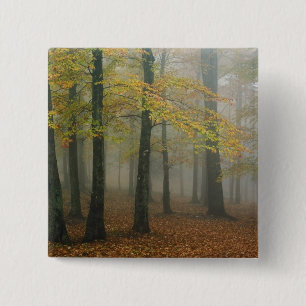 Autumn view of foggy forest, Grandfather 3 15 Cm Square Badge