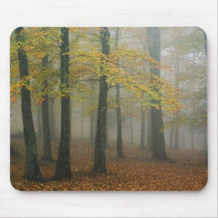 Autumn view of foggy forest, Grandfather 3 Mouse Mat