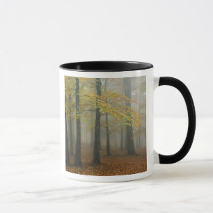 Autumn view of foggy forest, Grandfather 3 Mug