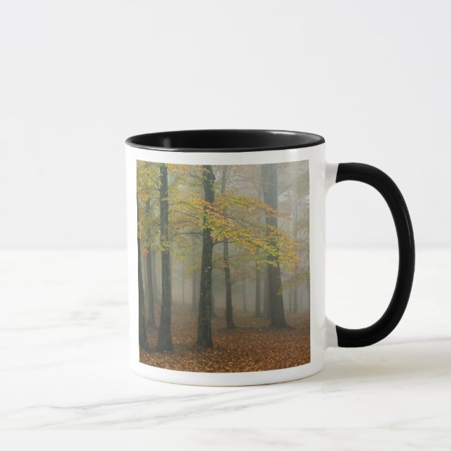 Autumn view of foggy forest, Grandfather 3 Mug (Right)