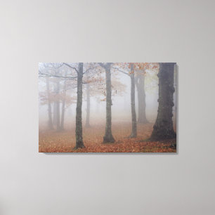 Autumn view of foggy forest, Grandfather Canvas Print