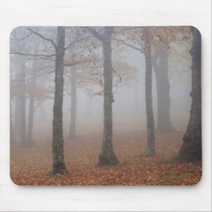 Autumn view of foggy forest, Grandfather Mouse Mat