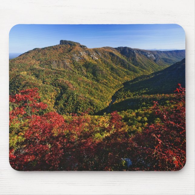 Autumn view of Linville Gorge often called the Mouse Mat (Front)