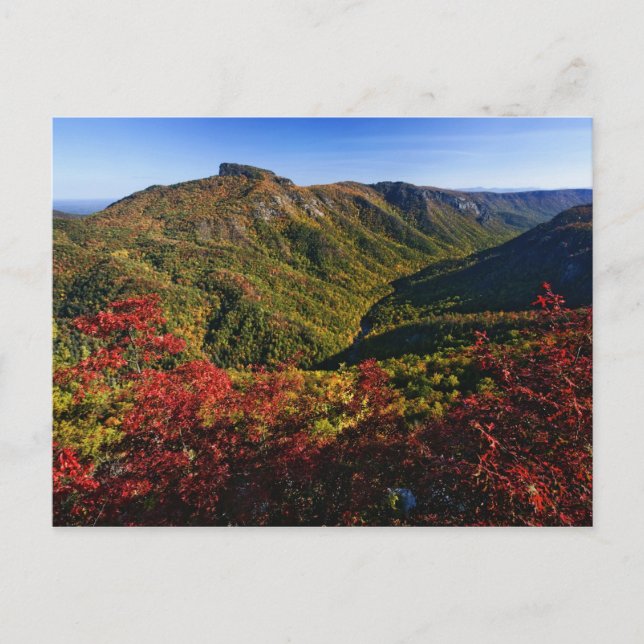Autumn view of Linville Gorge often called the Postcard (Front)