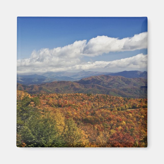 Autumn view of Southern Appalachian Mountains Magnet (Front)