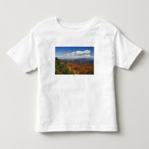 Autumn view of Southern Appalachian Mountains Toddler T-Shirt