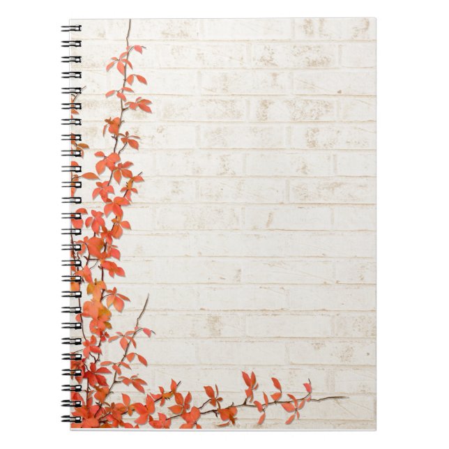 Autumn Vine Notebook (Front)