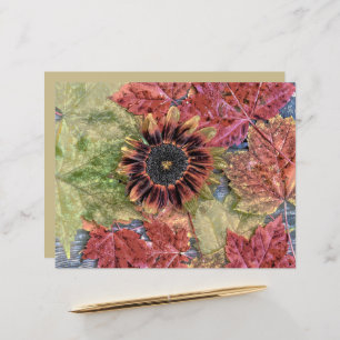 Autumn Vintage Sunflower Rustic Brown Maple Leaves