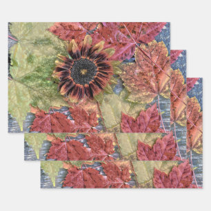 Autumn Vintage Sunflower Rustic Brown Maple Leaves Wrapping Paper Sheet